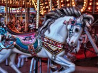 Merry Go Round Horse
